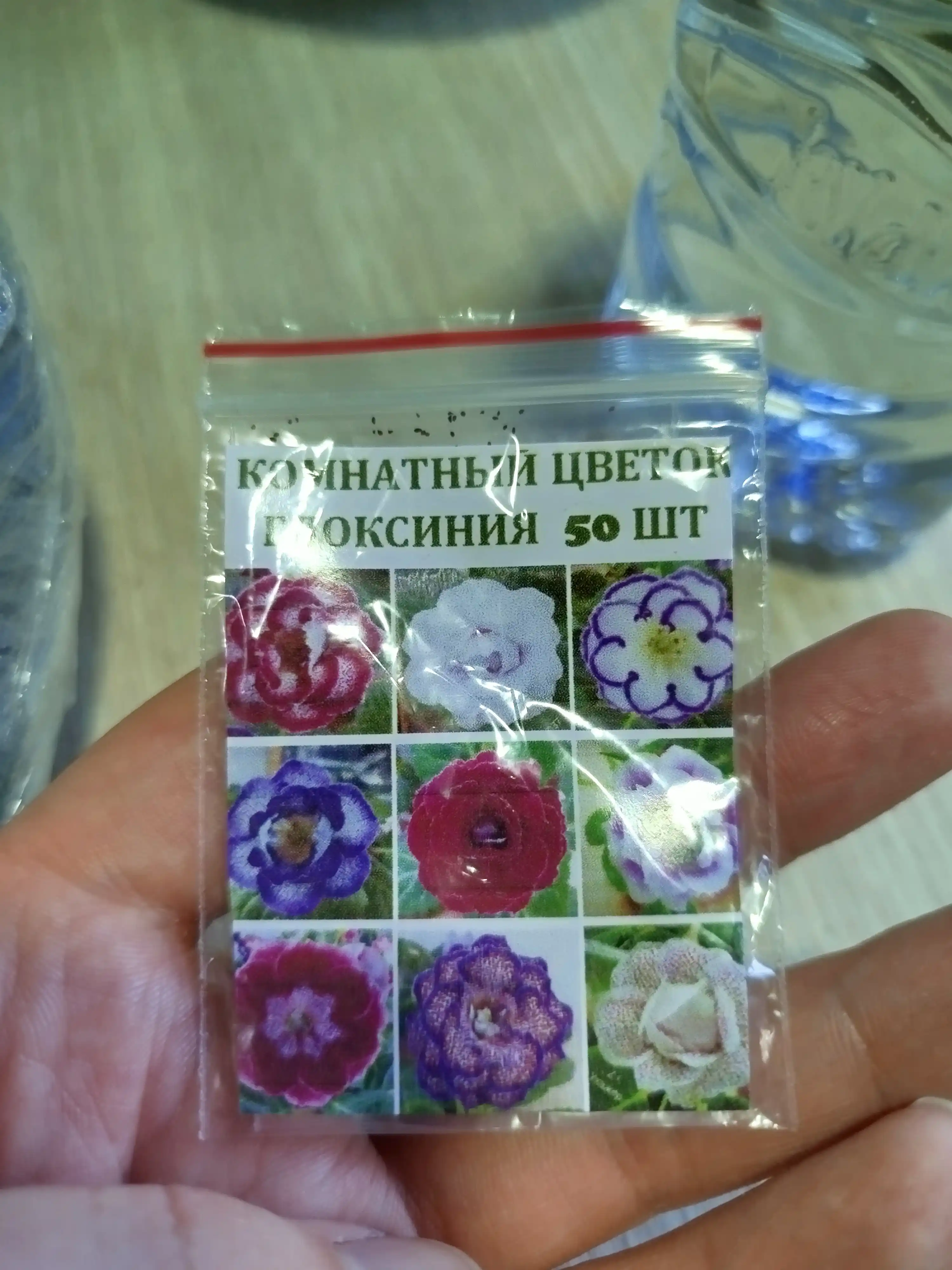 Gloxinia urug'lari, 50 dona