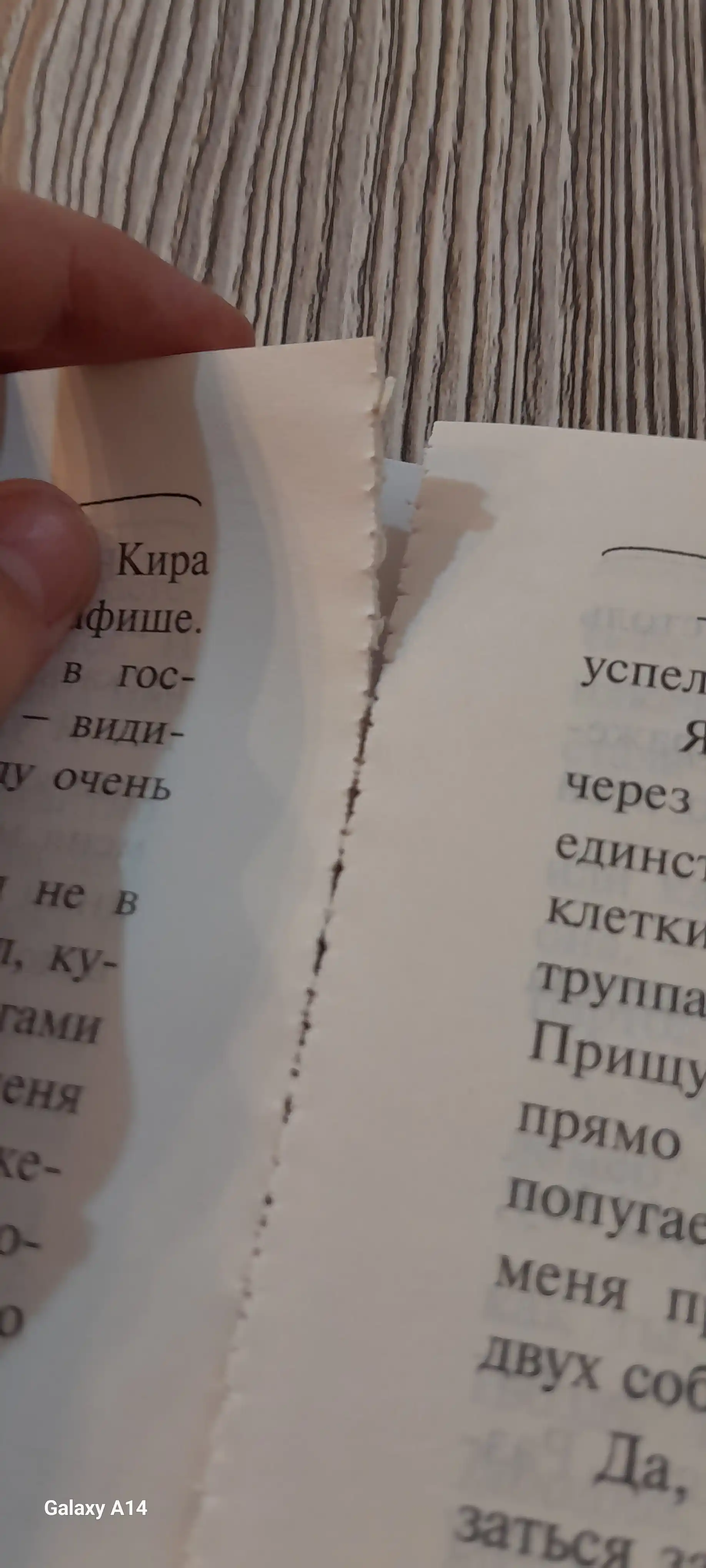 Приключения Кота-детектива #5 Сыщик на арене, Фрауке Шойнеманн