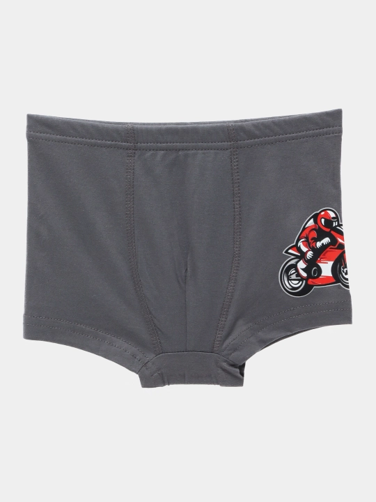 Трусы детские с принтом Willmoda 944803, набор 5 шт