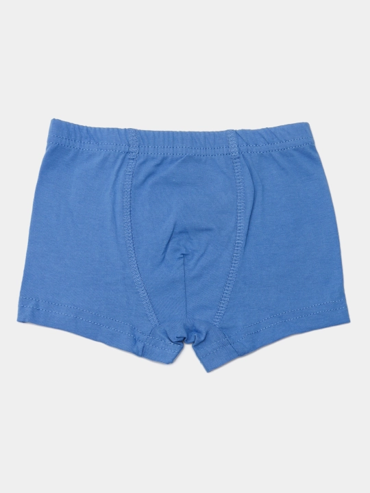 Трусы детские боксеры Willmoda, 944801, набор 5 шт