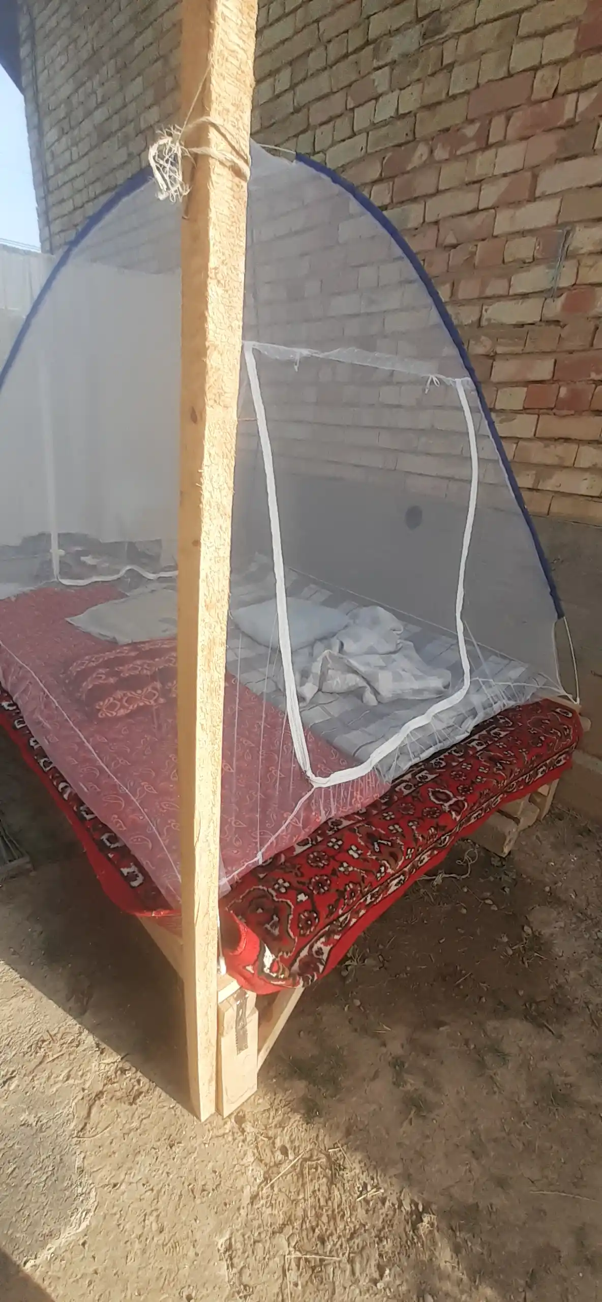 Chivinlarga qarshi to'r, pashshaxona 240 sm, ga 240 sm