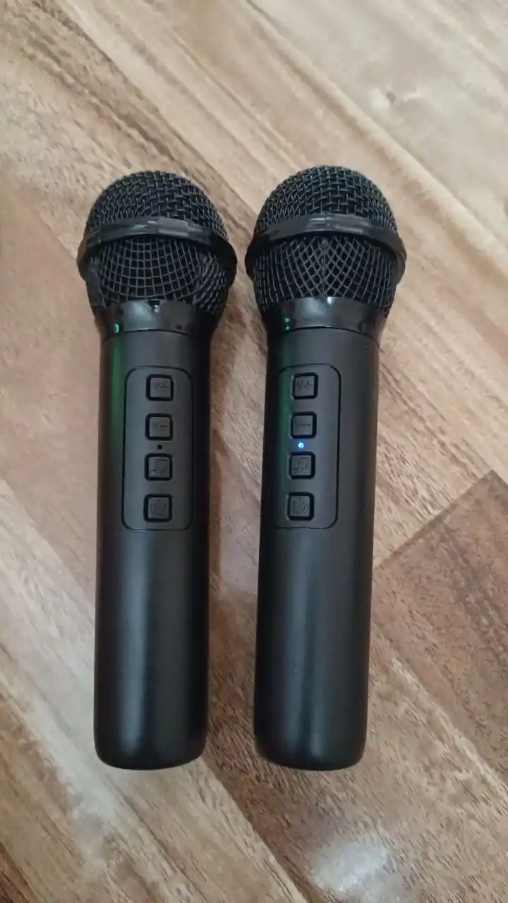Bluetooth ZQS 12131 katta musiqiy kolonkasi, 2 mikrofon va rangli musiqa bilan, 50 sm