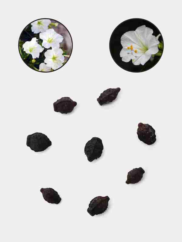 Yaponiyalik gimnastikachilar fotosurati Yevropa porno jinsiy aloqa