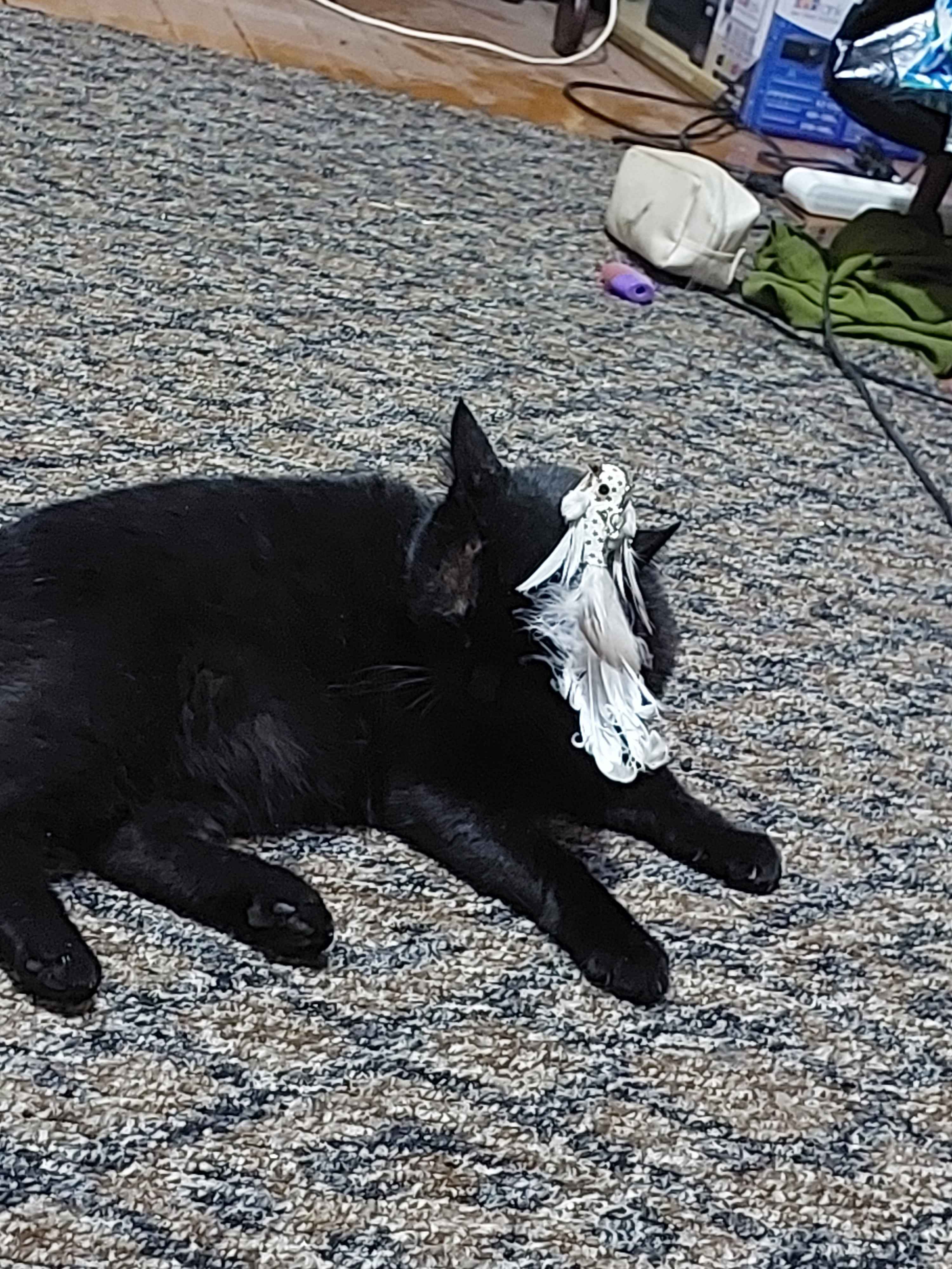 külot ustida porno cumshot