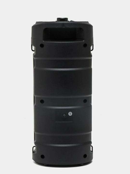 Караоке колонка ZQS4239 Bluetooth, с микрофоном, световым эффектом RGB, 40 см