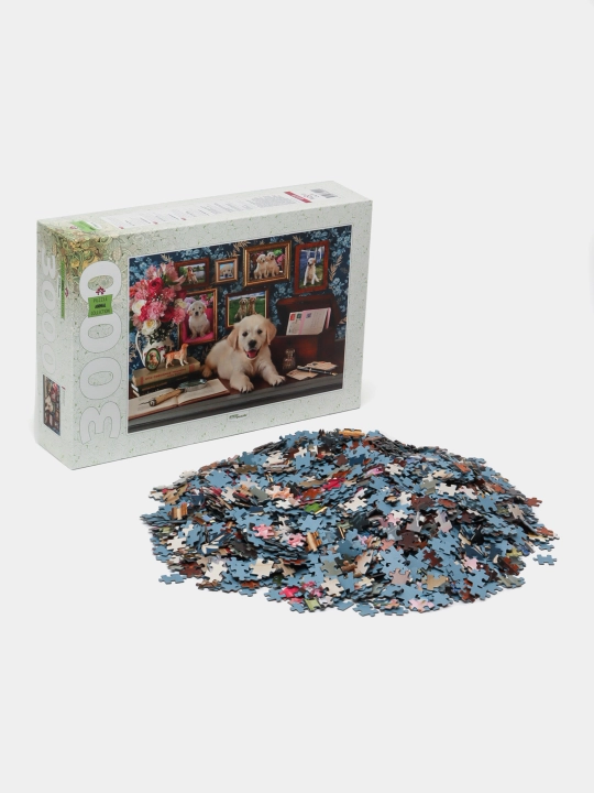 Мозаика "puzzle" 3000 "Любимый хулиган"