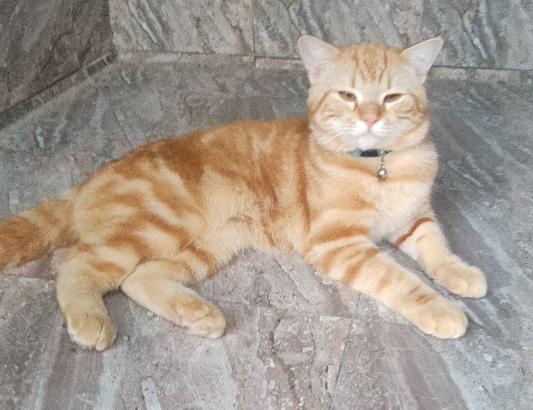 Sanatkorlarni basseyn zali pornosi DTV yashirin kamerasida aldash