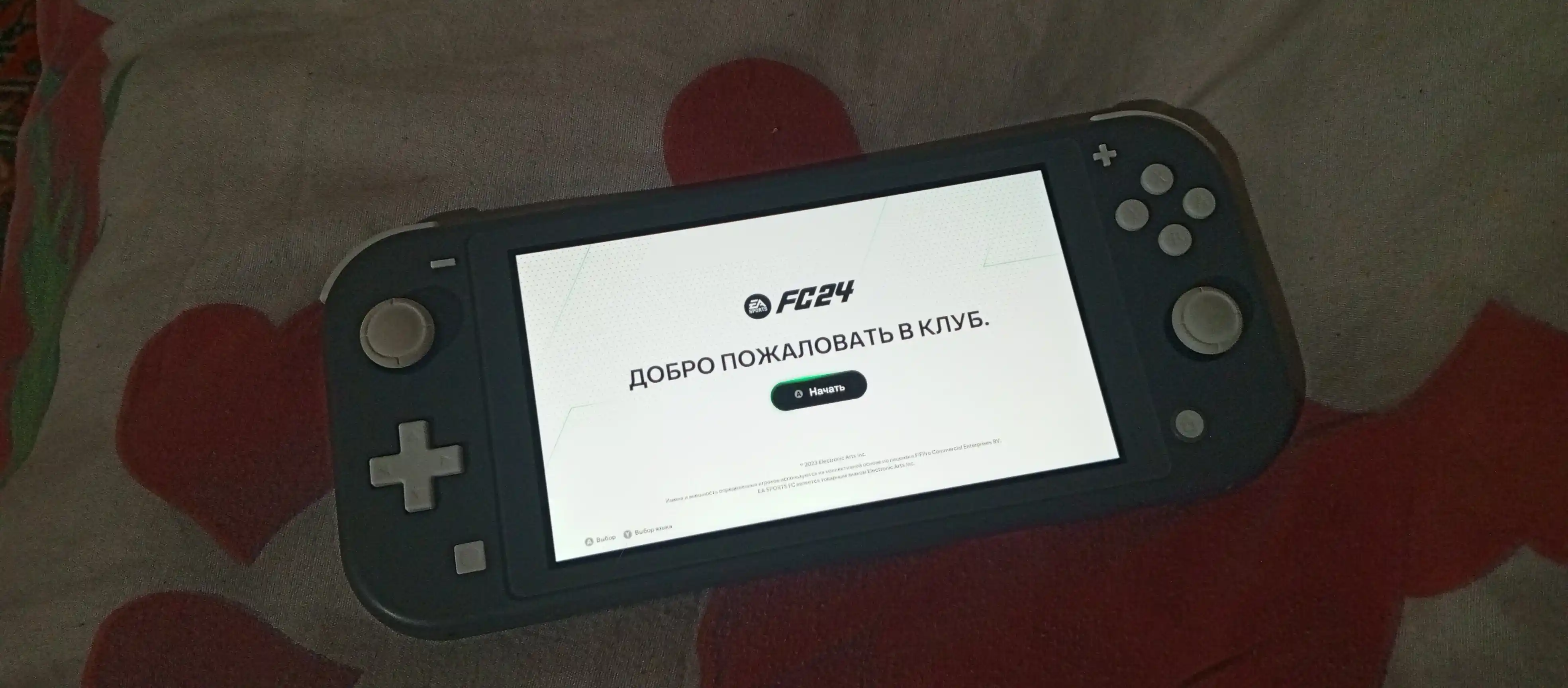 Нинтендо Switch Lite