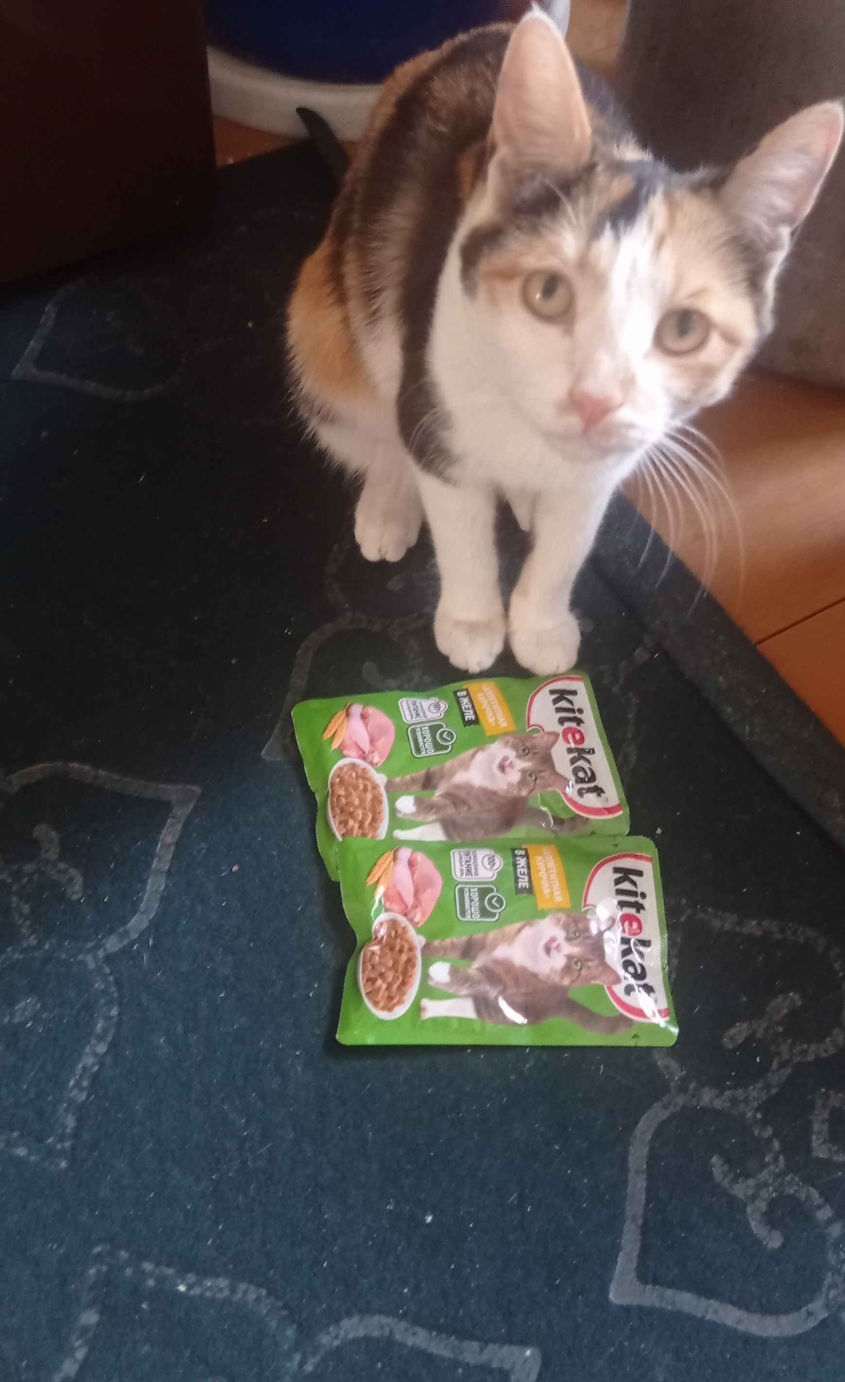 Turkiyada ayol jinsiy aloqa video Porno taom