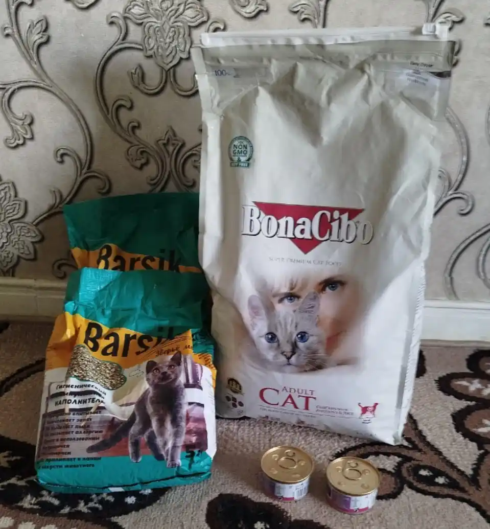 BonaCibo mushuklar uchun quruq yem, tovuq go‘shti, anchous va guruch bilan, 5 kg