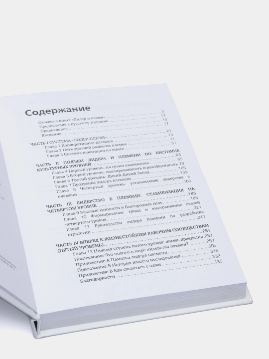 Лидер и племя. Пять уровней корпоративной культуры. Логан, Кинг, Фишер-Райт
