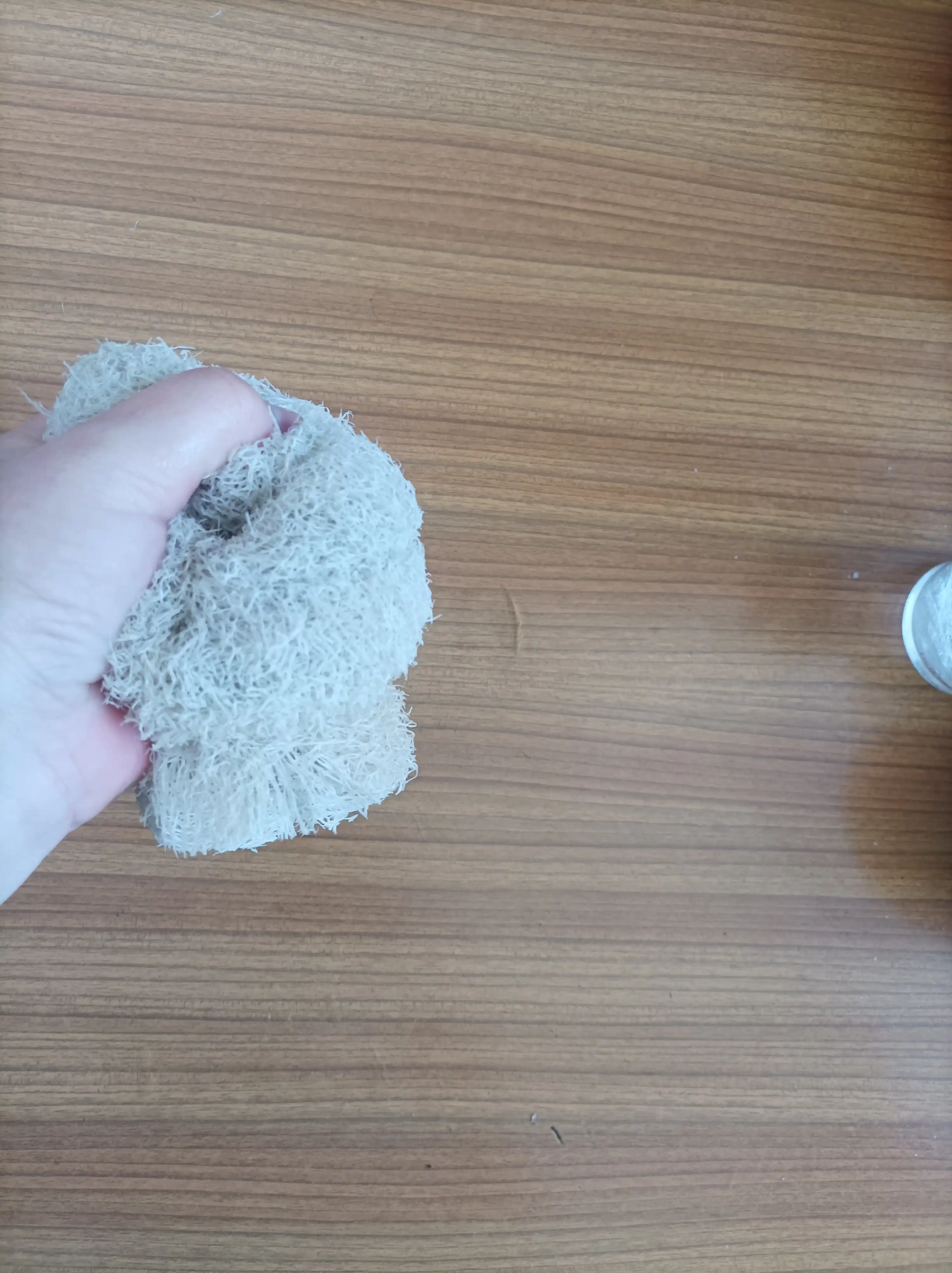 Tabiiy mochalka lyufdan (Luffa)