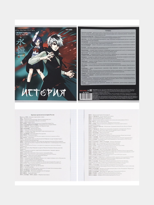 TМ Prof-Press Комплект 12 шт, 48 листов