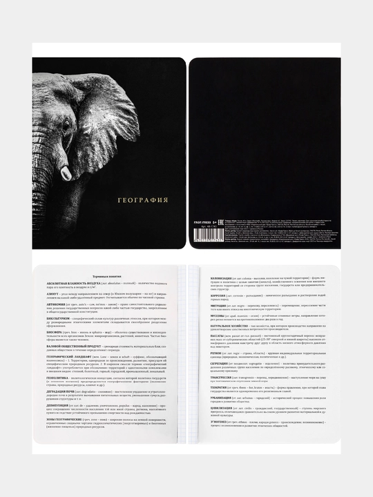 TМ Prof-Press Комплект 12 шт тетрадей 48 л, BLACKSOFT