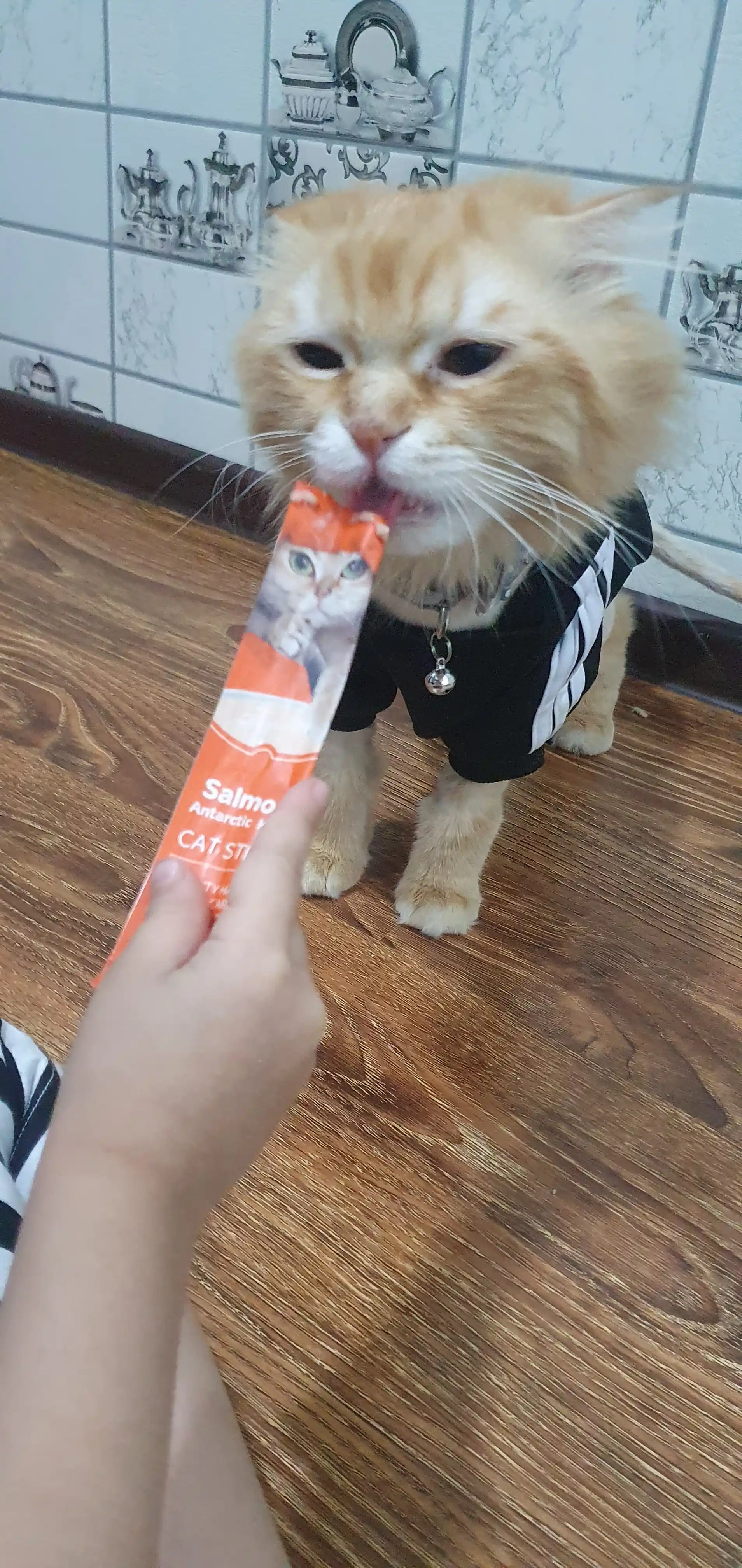 Shirinlik mushuklar uchun Pet Snacks, 60 dona korobkada