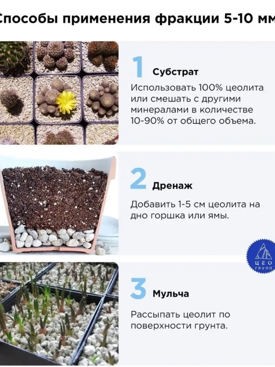 Faollashtirilgan zeolit