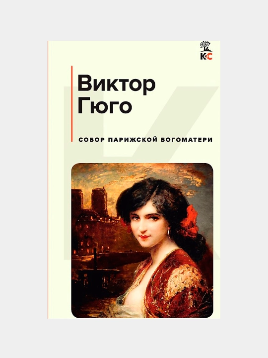 Собор Парижской Богоматери, Виктор Гюго