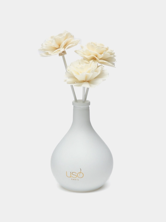 Diffuser Lux Green Tea Peony parfyum uy uchun xashamat aromati uy osvijiteli - 