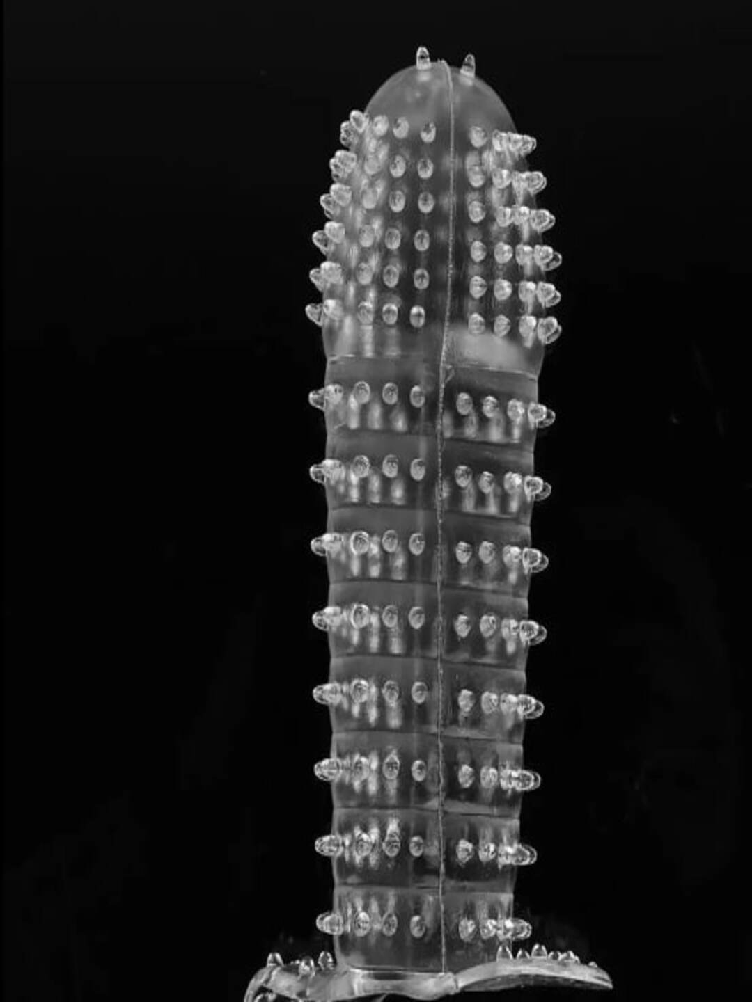 Katta birodardagi jinsiy aloqa onlayn Ruslarning dachadagi pornografik fotosuratlari tarqaldi