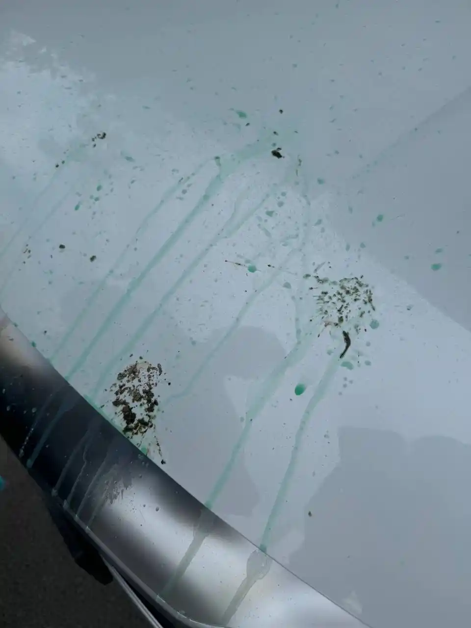 Очиститель птичьего помета Bird Sh#t Remover