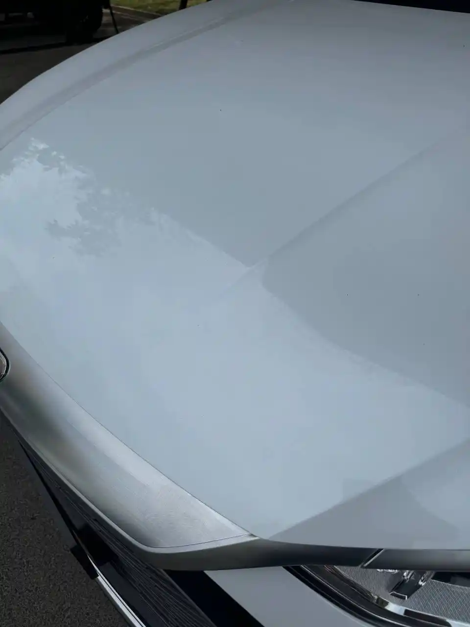 Очиститель птичьего помета Bird Sh#t Remover
