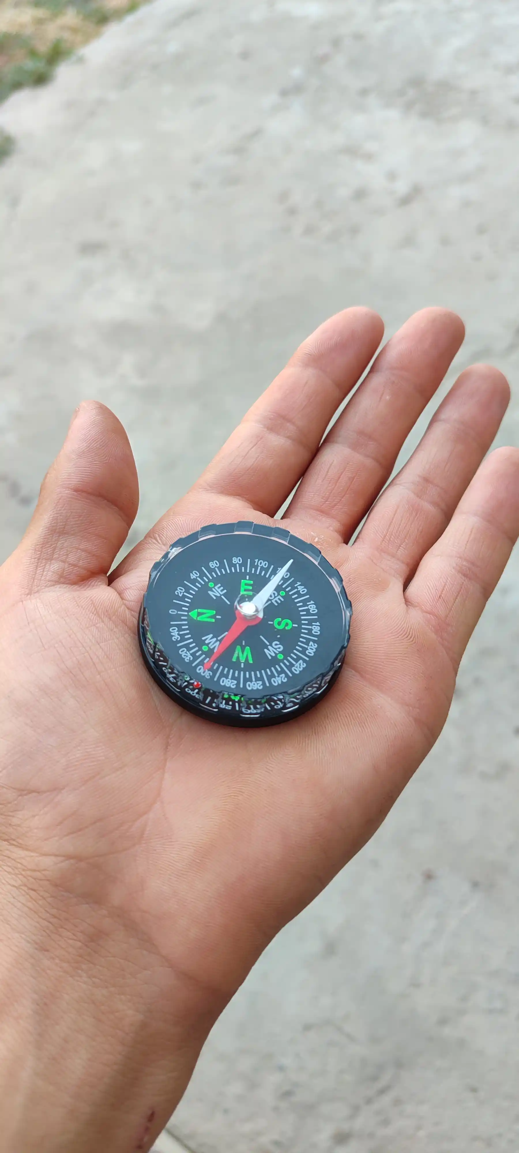 Kompas