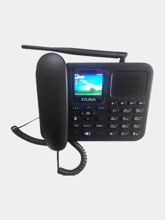 Телефон с двумя SIM-картами DLNA ZT9000 GSM, цветной экран, запись звонков