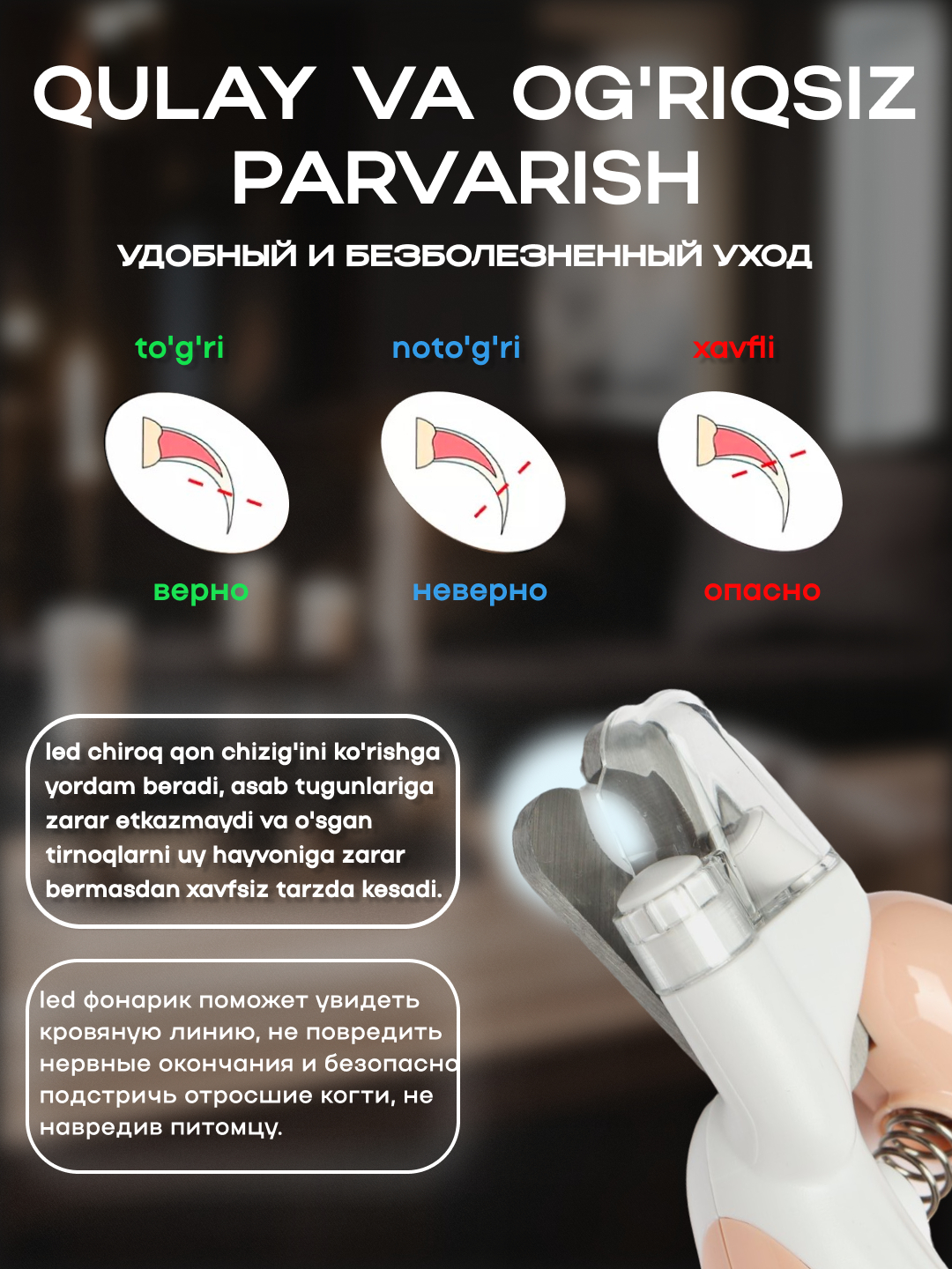 Mushuk tirnoqlari bilan mixlangan edi Mushuk tirnoqlari bilan mixlangan edi