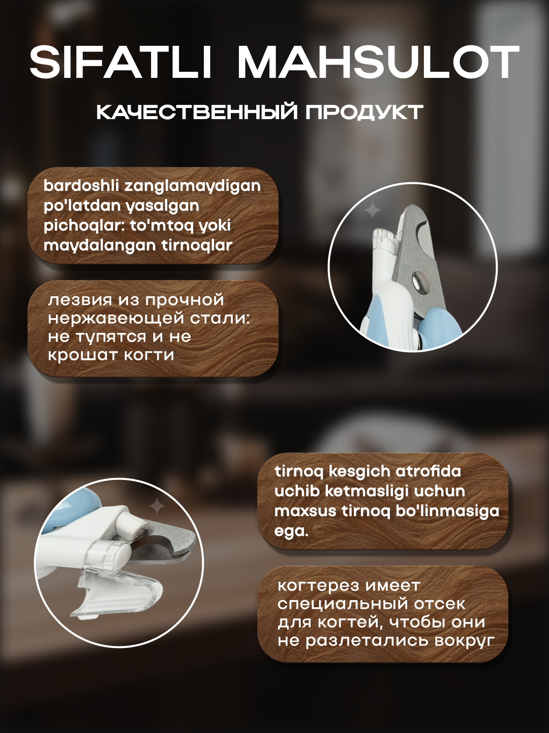 Birovning eshagiga chizilgan dunyo xaritasi surati.