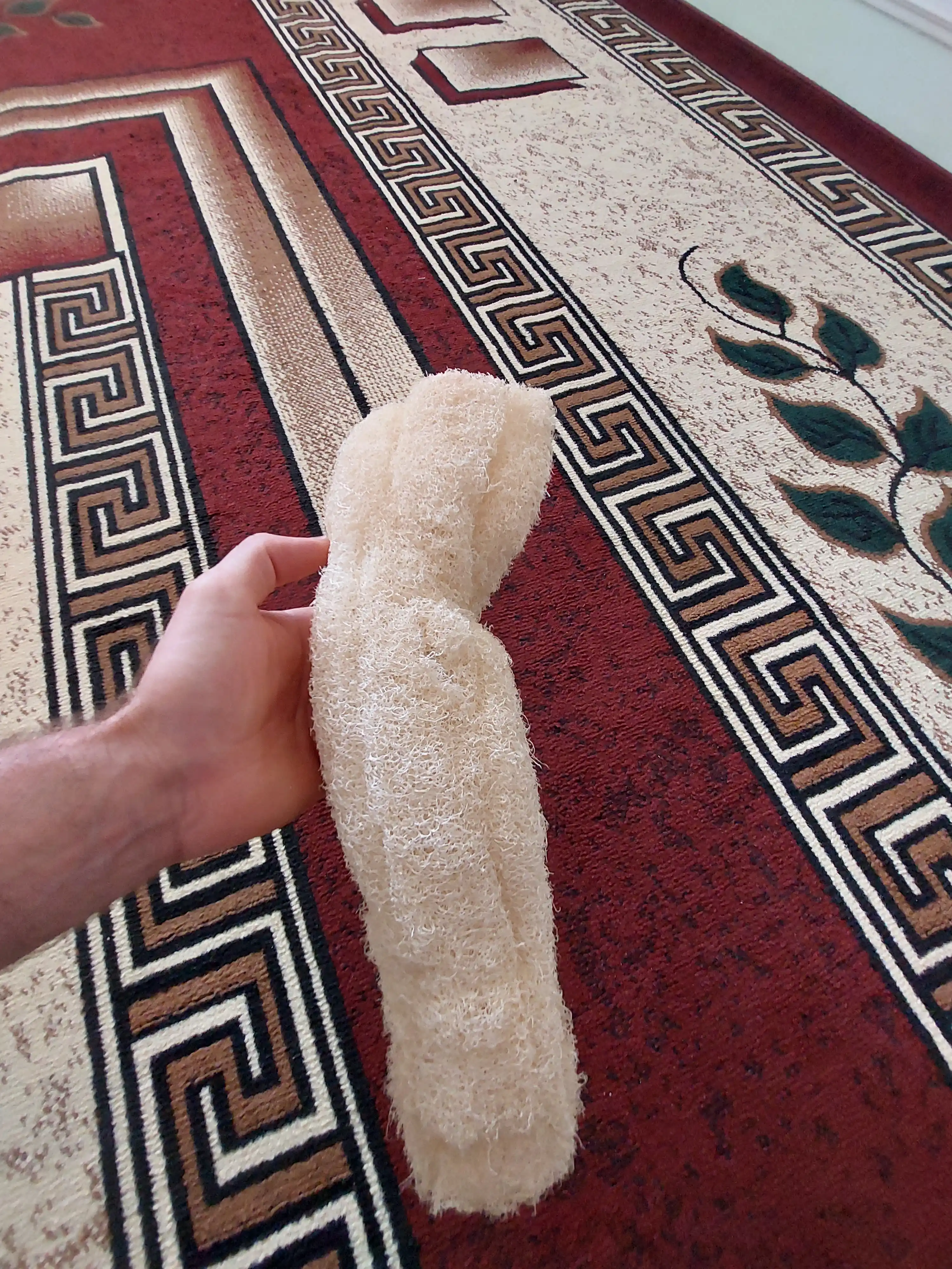 Tabiiy mochalka lyufdan (Luffa)