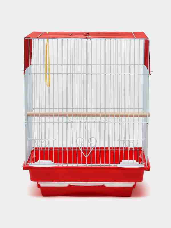 Havaskor porno video va rasmlar Olomon ichida porno sexy ayollar