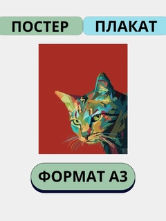 Laym