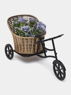 Lavanda