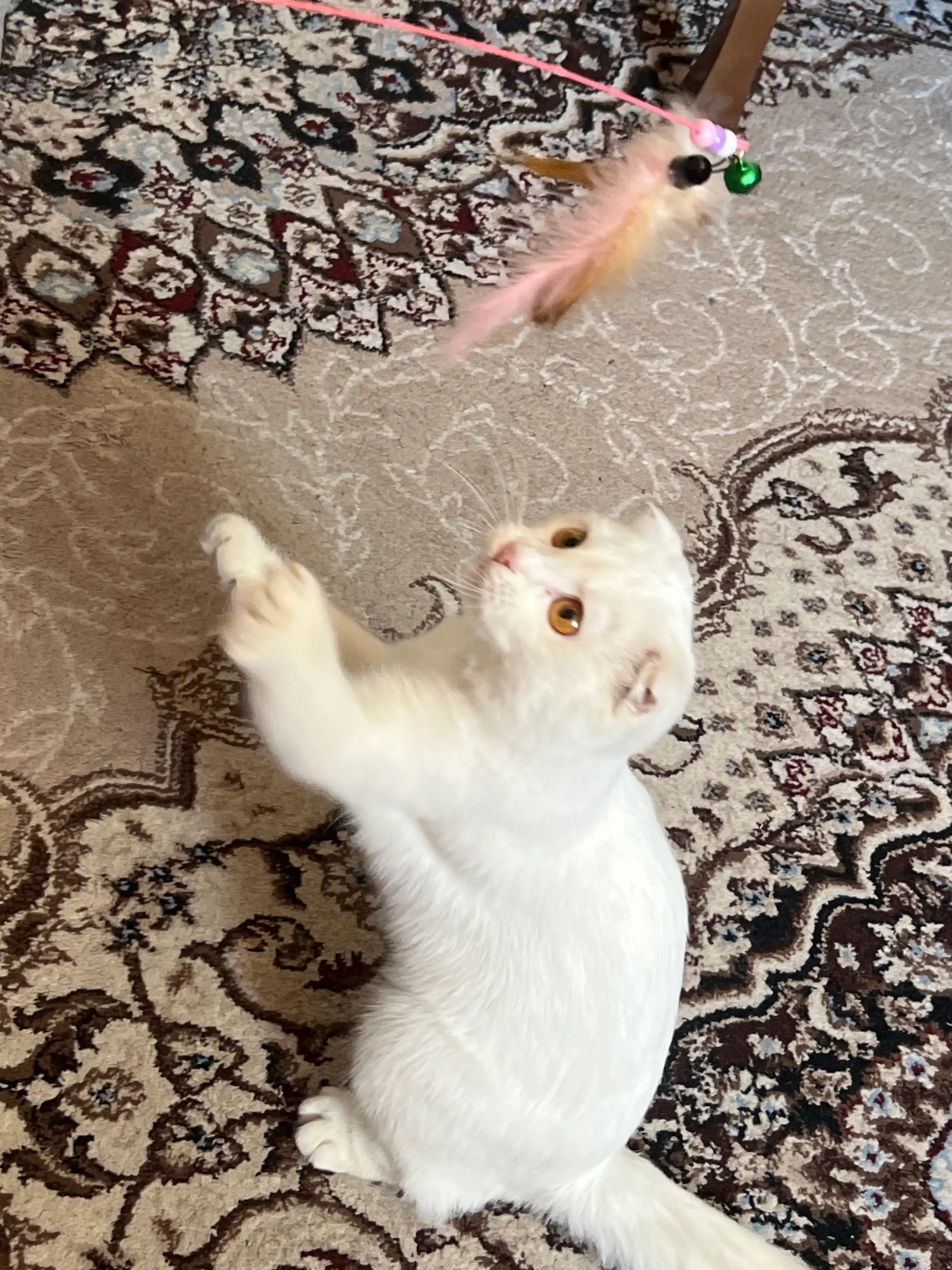 Игрушка для кошек удочка-дразнилка BOBRIKGORA, 3 сменные насадки с перьями