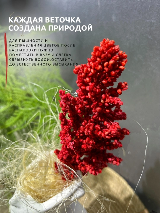 Декоративные цветы, сухоцветы для интерьера, декор для комнаты, букет 2-15 шт, 50 см