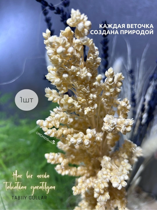 Декоративные цветы, сухоцветы для интерьера, декор для комнаты, букет 2-15 шт, 50 см