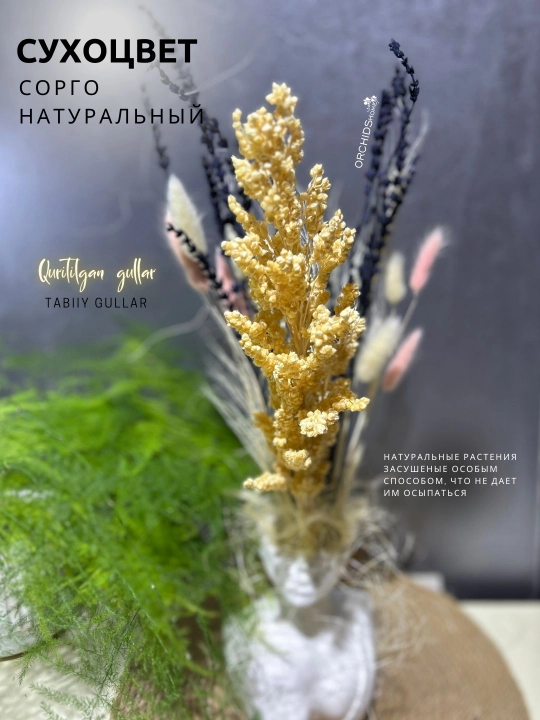 Декоративные цветы, сухоцветы для интерьера, декор для комнаты, букет 2-15 шт, 50 см