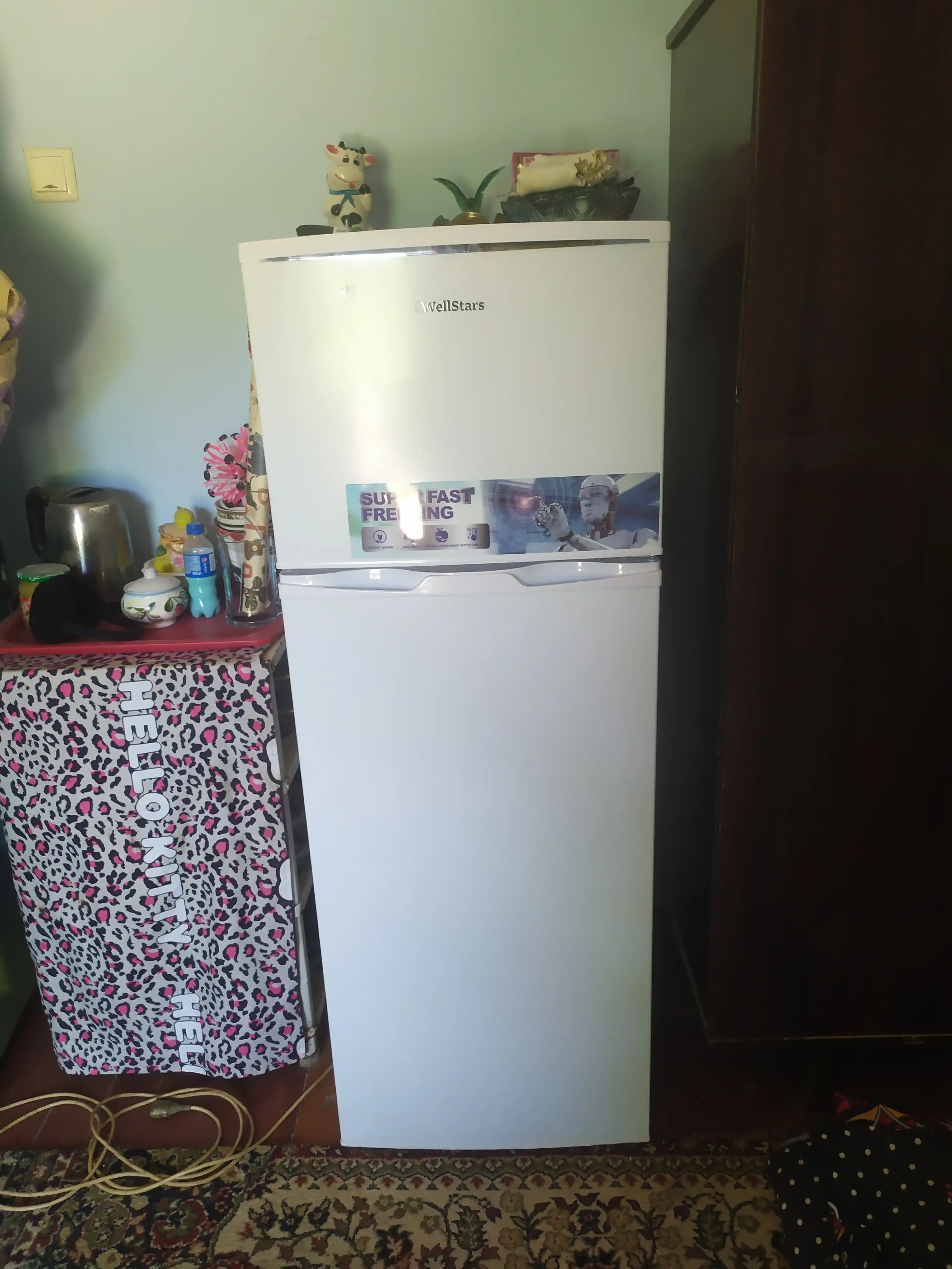 Холодильник WellStars DeFrost, 90, 225 л