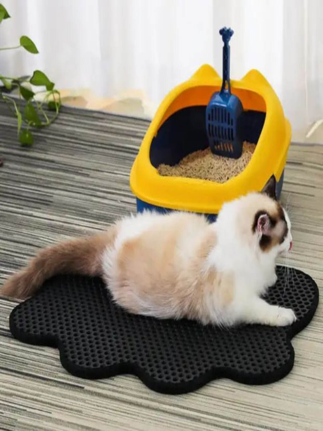 Juda semiz buvilar porno videolar Porno barcha turdagi mushuklar yaqin