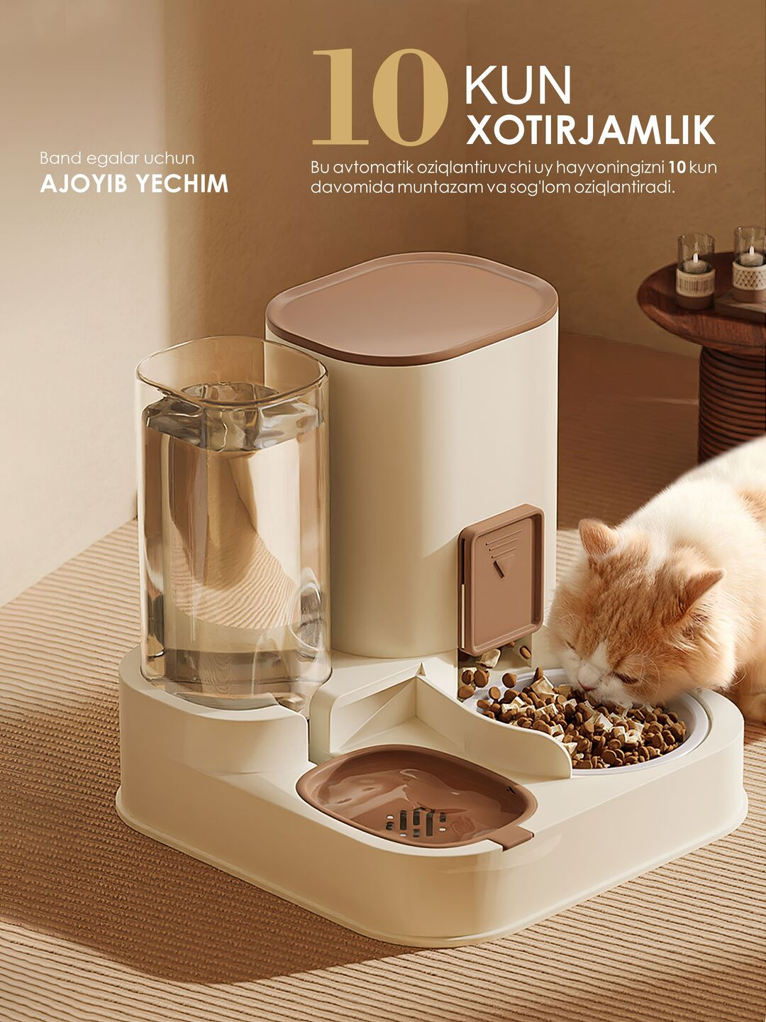 Quruq anal jinsiy aloqa video Porno ot va sigir