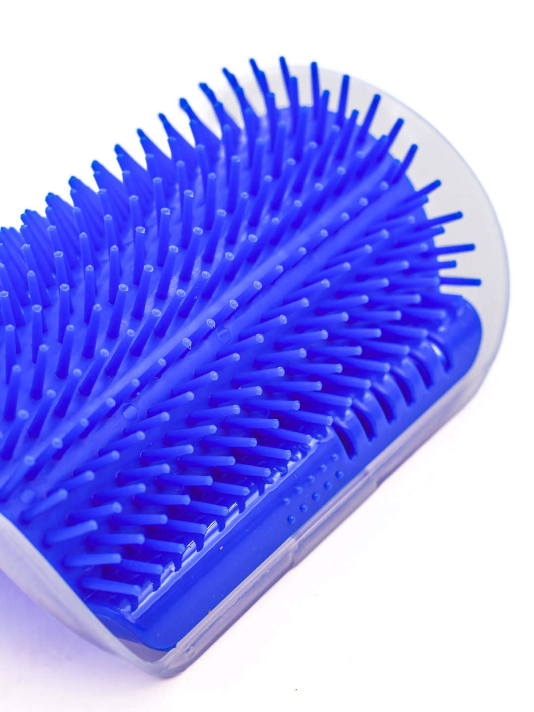 Bokira qizlar porno video Chelsea Charms porno video onlayn tomosha qilish