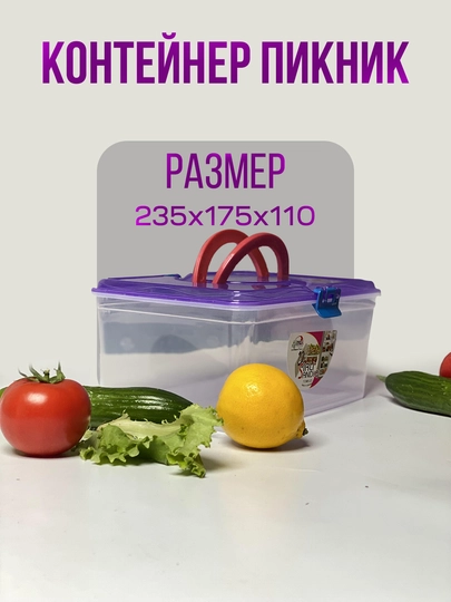Прозрачный контейнер Пикник