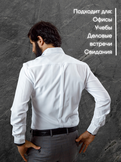 Dunyodagi eng ahmoq mushuklar