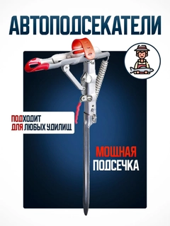 Рыжий