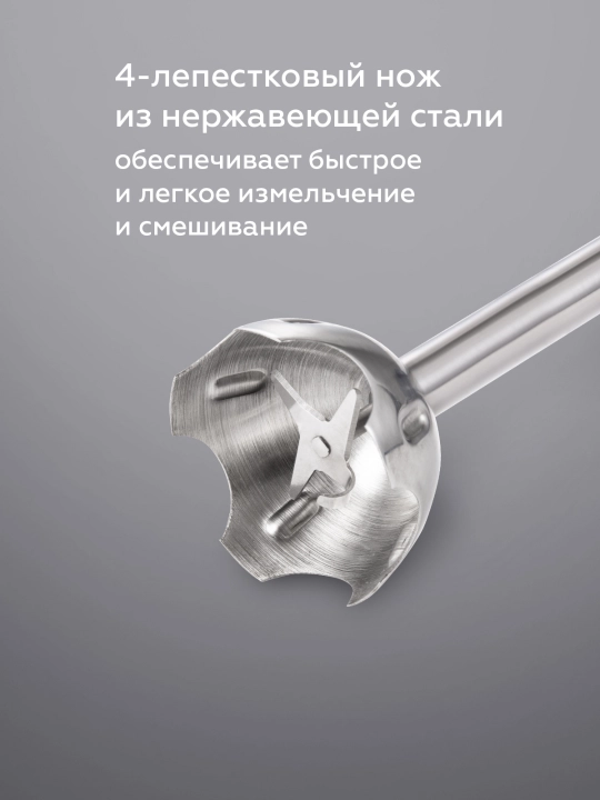 Daldirma blender 3 tasi 1 da BQ HB1031SS, yuqori quvvat 1000 Vt, turbo rejimi, 2 tezlik