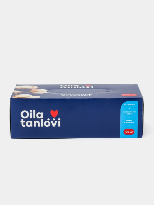Qog'oz salfetkalar Oila tanlovi karton qutida, 100 dona