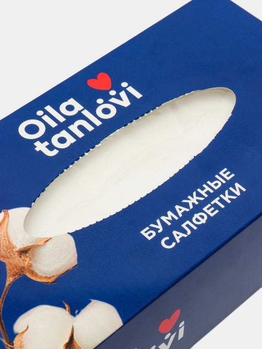 Qog'oz salfetkalar Oila tanlovi karton qutida, 100 dona
