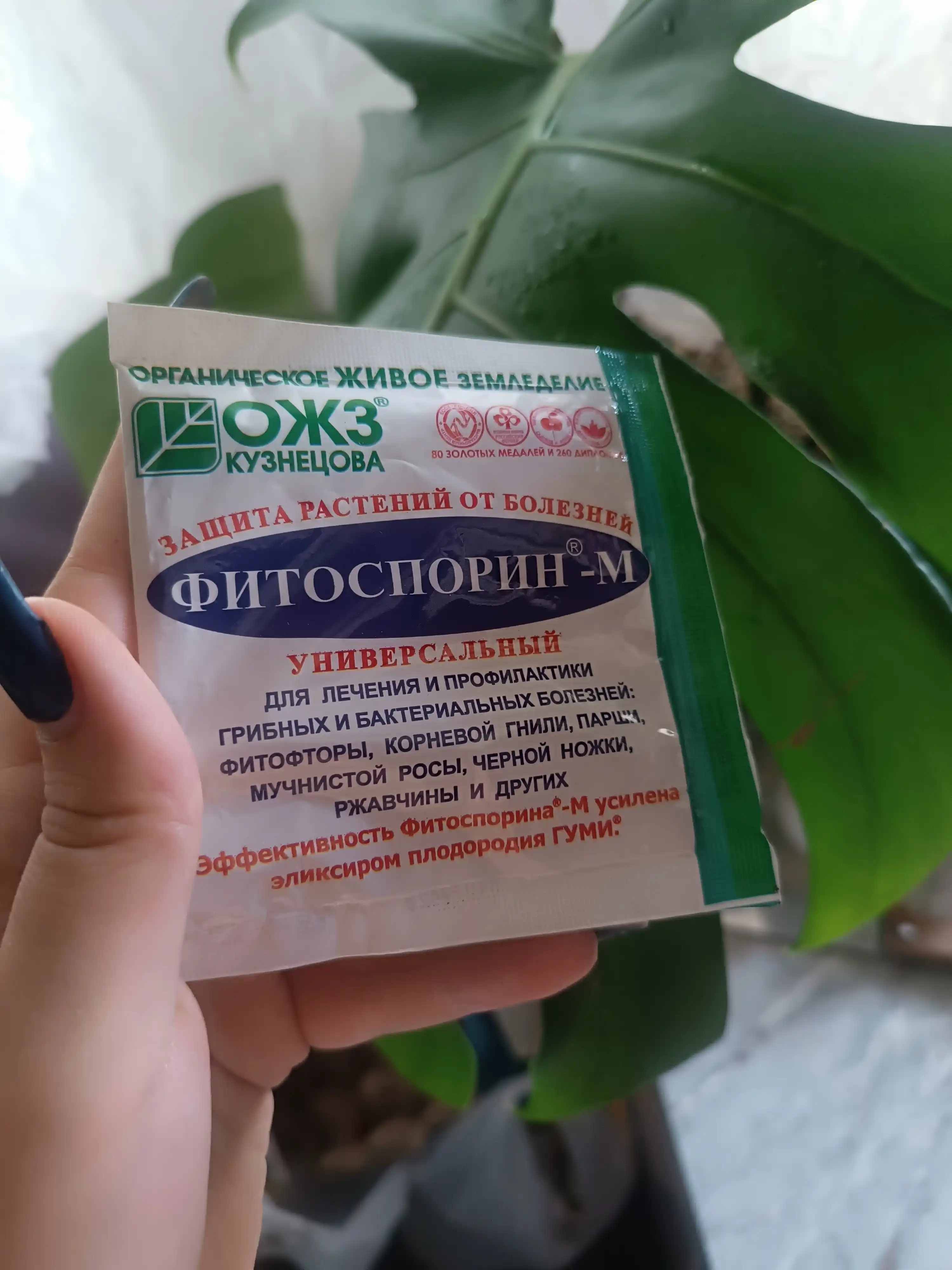 Fitospоrin - M, o'simliklarni kasalliklardan himoya qilish