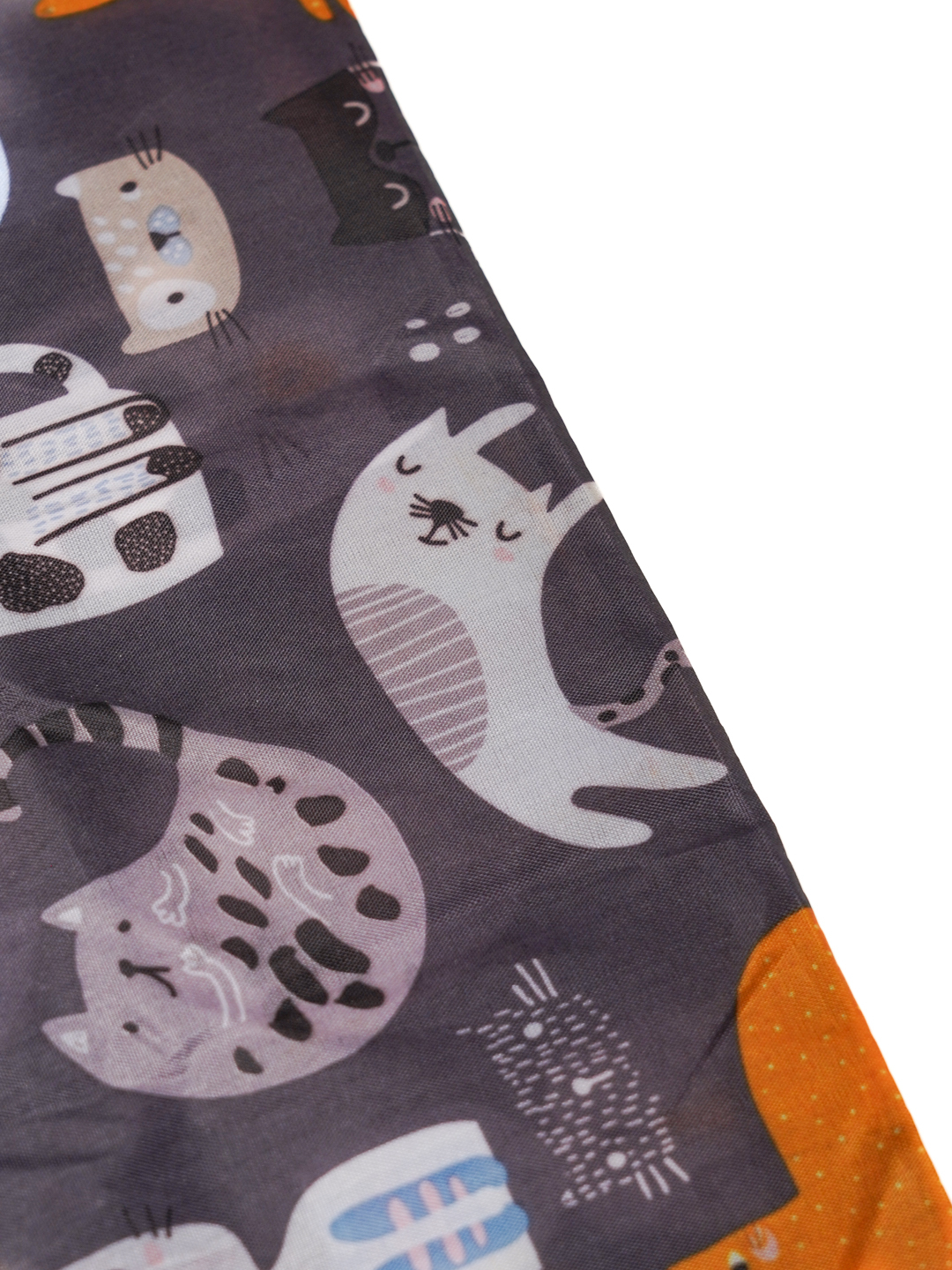 Mushukli ayollar fotosuratlari