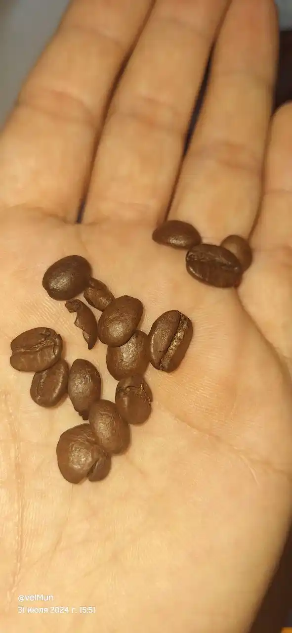 Кофе в зернах JUM Espresso Vending, 1 кг